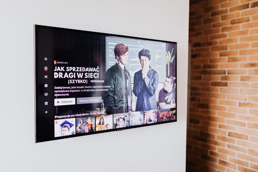 Ontdek de beste Netflix series van 2026 voor elk genre